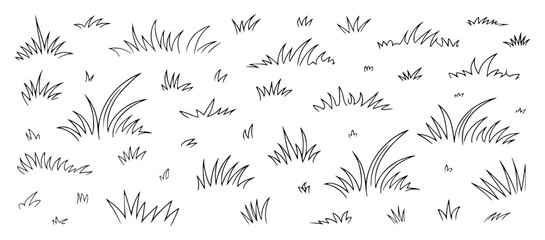 Black and white sketch of various grass clumps and blades drawing