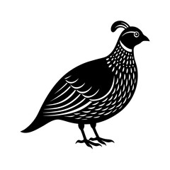 Fototapeta premium Quail clipart on a white background vector illustration