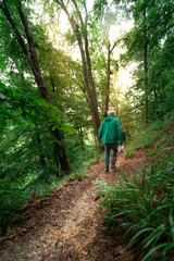 walking in the woods