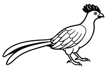 Stylized Black and White Line Drawing of a Standing Roadrunner with Crested Head