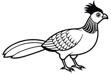 Elegant Black and White Quail Illustration with Crest and Detailed Feathers Outlined Style