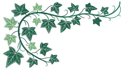 Green Ivy Vines on White Background
