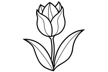 Obraz premium Line Art Depicting a Tulip Flower with Stem and Leaves Outline Design