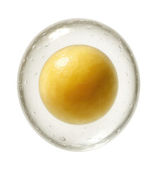Frog egg with translucent jelly coating and visible yolk