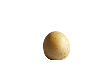 Single speckled bird egg, isolated on transparent PNG, studio shot.