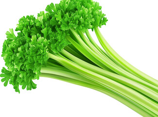 Fresh Celery Stalks Bunch, Vibrant Green, Isolated on Transparent PNG