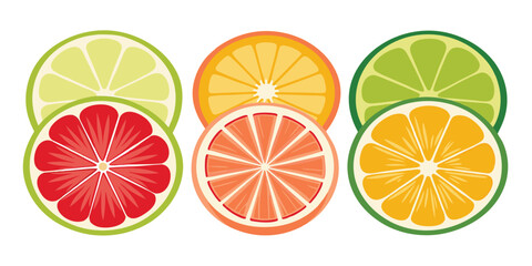 Six Circular Citrus Slices Lime Grapefruit Orange vector