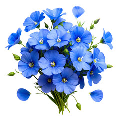 Fototapeta premium Top View Flat Lay of Flax Flower Bouquet with Scattered Petals and Green Leaves, Isolated on White Background