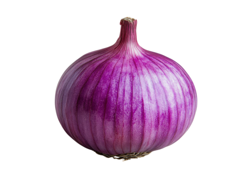 A large purple onion with a green stem