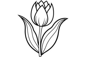 Outlined Tulip Illustration Black Lines Depicting a Flower Bud and Leaves Symbolically