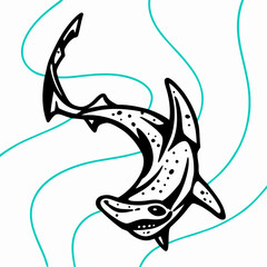 Hammerhead Shark Line Art Illustration