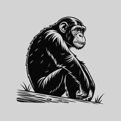Graphic Chimpanzee Illustration with Attitude