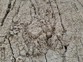texture of the ground