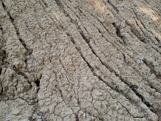 texture of the ground