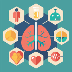 An illustration depicting human health and anatomy showing lungs and internal organs with icons