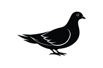 Silhouette art illustration of a Dove.eps