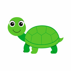 Green Turtle with Patterned Shell and Cheerful Eyes