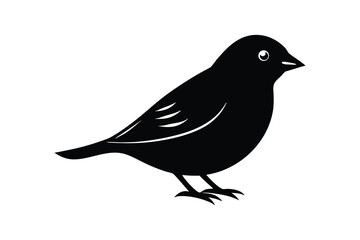 Silhouette art illustration of a Finch.eps