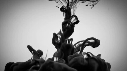 Ethereal Ink in Motion: Witness the mesmerizing dance of black ink as it swirls and cascades through water, creating an abstract spectacle of fluid forms. - Powered by Adobe