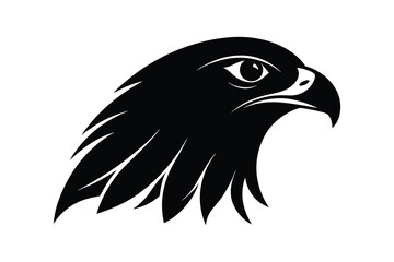 Silhouette art illustration of a Hawk beak.eps