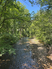 Fototapeta premium Wissahickon Creek Bed and Surrounding Forest