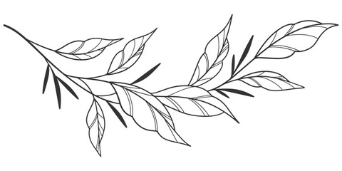 floral leaves line art isolated on white background. Divider doodle leaf and flowers, nature border decorative element vector illustration