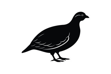 Silhouette art illustration of a Quail.eps