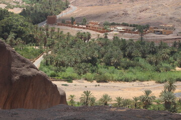 Fint Oasis in Ouarzazate Morocco, Finnt Oasis