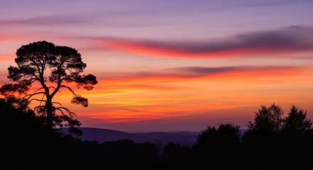 Silhouetted Tree Against Vibrant Sunset Landscape