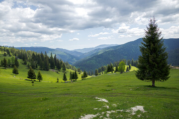 Nature Beautiful Green Field Landscape with Mountain in the Background
