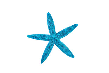 Blue starfish isolated on white background.