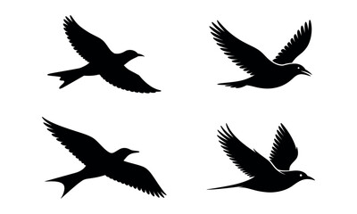 Fototapeta premium Set of flying bird silhouette icons in various wing positions 