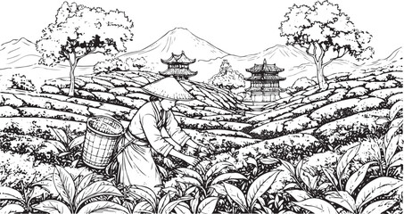 Obraz premium Tea Pickers in Mountain Fields