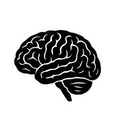 The human brain. Graphic, black and white drawing. on a white background