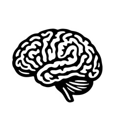 The human brain. Graphic, black and white drawing. on a white background