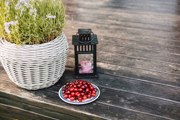 A delightful still life showcasing cherries, lavender, and a candle lantern on a wooden terrace. A rustic scene features a basket of lavender, red berries on a weathered wooden surface on a backyard.