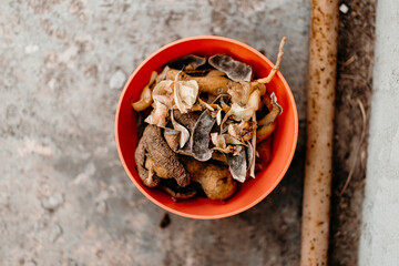 Bowl filled with eco-friendly kitchen waste — eggshells, peels, food scraps. Compost preparation...