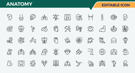 Anatomy icon set in linear style. Joint related icon set. Vector outline icons collection. It contains symbols to kidney, medicine, cell, structure, heart, digestive. Vector artwork and illustration.