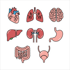 Human Internal Organs Icons Set in Flat Cartoon Style for Medical and Educational Use, Vector Illustration