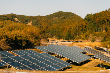 solar panels on farm fields in Japan