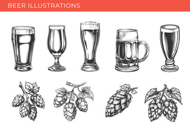 Set illustrations of beer isolated on transparent background. Glass and hop. Vector graphics