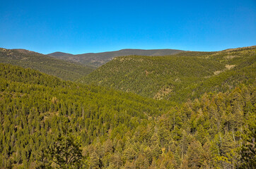 Traveling through the Sangre de Cristo Mountains between Las Vegas and Taos, New Mexico, flowing rivers, snow capped mountains, pine trees, beautiful scenery.