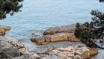 Rocky Adriatic shore with clear turquoise water and pine trees