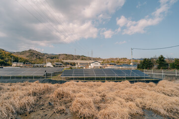 solar panels on farm fields in Japan