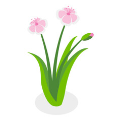 3D Isometric Flat  Illustration of Flowers Collection. Item 8