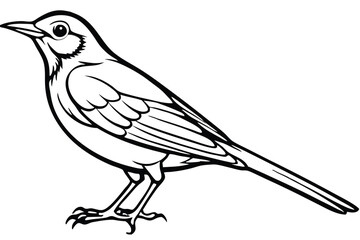 Black and White Vector Illustration of a Bird Standing with Intricate Feather Details