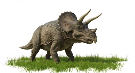 Fototapeta premium Triceratops steht ruhig im Gras Sonnenlicht beleuchtet detailliert das Modell. AI Generated