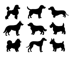 Set of silhouettes of dogs of different breeds. Vector isolated on background EPS 10.