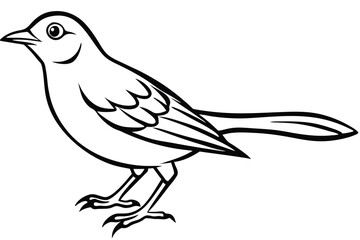 Cartoon Bird Outline Illustration Detailed Black and White Bird Drawing with Pointed Beak