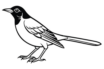Black and white stylized illustration of a magpie with detailed feather patterns
